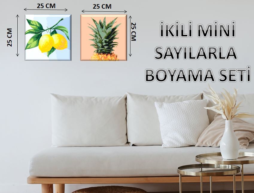 Plus Hobby SB105 - İkili Mini Boyama Seti Limon / Ananas 25x25 / 25x25